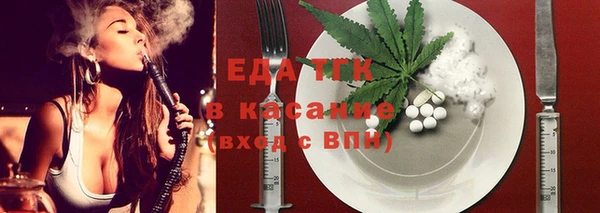 индика Богородицк