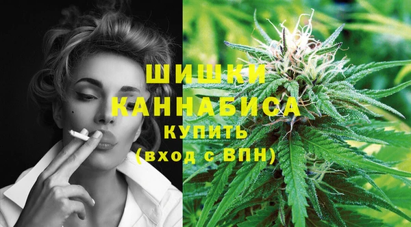 ешки Богданович