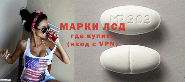 индика Богородицк