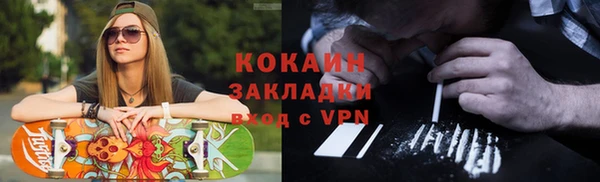 индика Богородицк