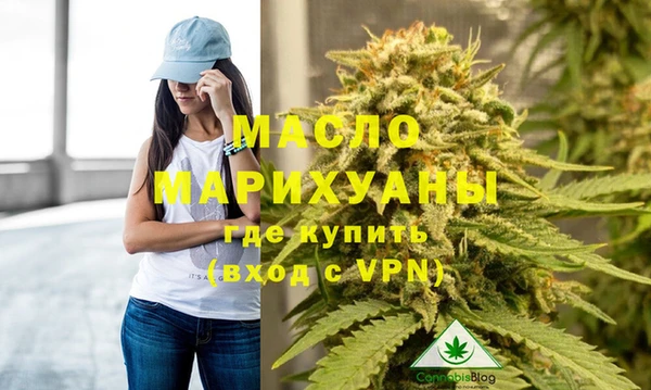 индика Богородицк
