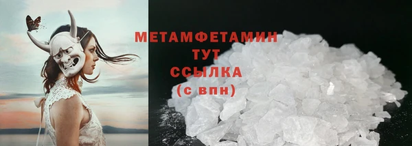 индика Богородицк