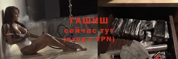 индика Богородицк