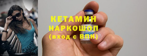 индика Богородицк