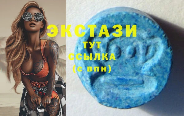индика Богородицк