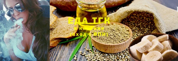 индика Богородицк