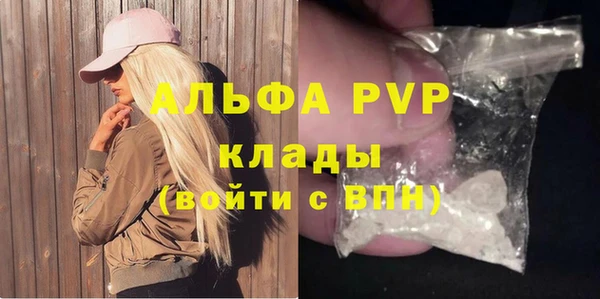 ешки Богданович