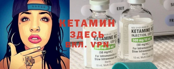 индика Богородицк